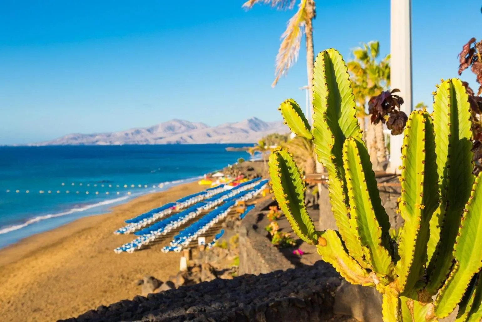 Villa Bellamar 푸에르토 델 카르멘